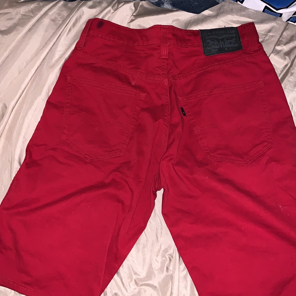 Levi - Picture 2 of 4